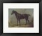 Framed Art Golding Constable's Black Riding-Horse by John Constable Wall Decor 18x24 Artwork